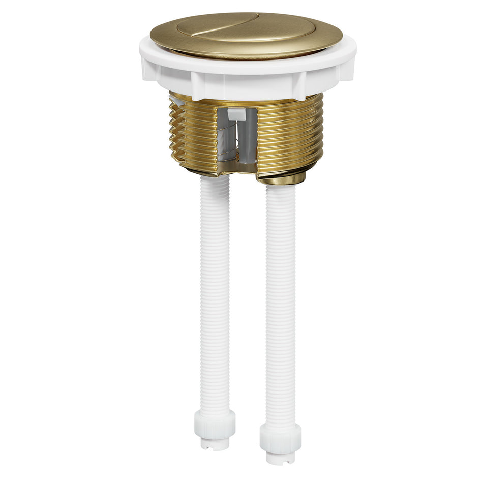 Cistern Push Flush Button - Brass / Gold